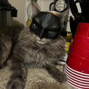 Bat Cat Avenger Mask for Pets