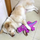 Squeaky crocodile plush for aggressive chewers ๐