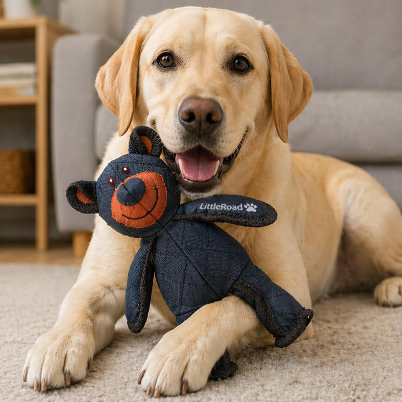 2026 Upgrade Indestructible & Interactive Bear Dog Toys For Heavy Chewers