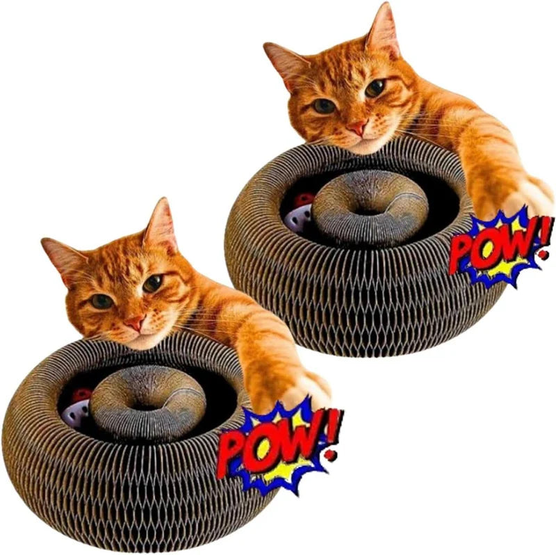 Two orange cats playing with a cardboard cat toy with 'POW!' graphics.