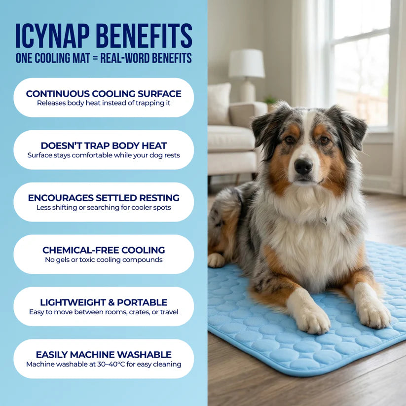 Arctic Dog Cooling Mat | Self-Cooling Pet Pad
