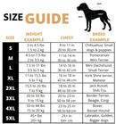 Winter Jacket For Dogs