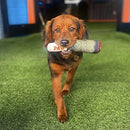 Cigar Design Plush Squeaky Dog Toy