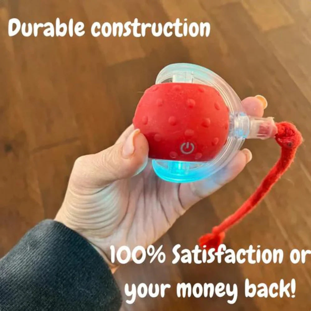 Tiny Fetch Motion Pet Toy