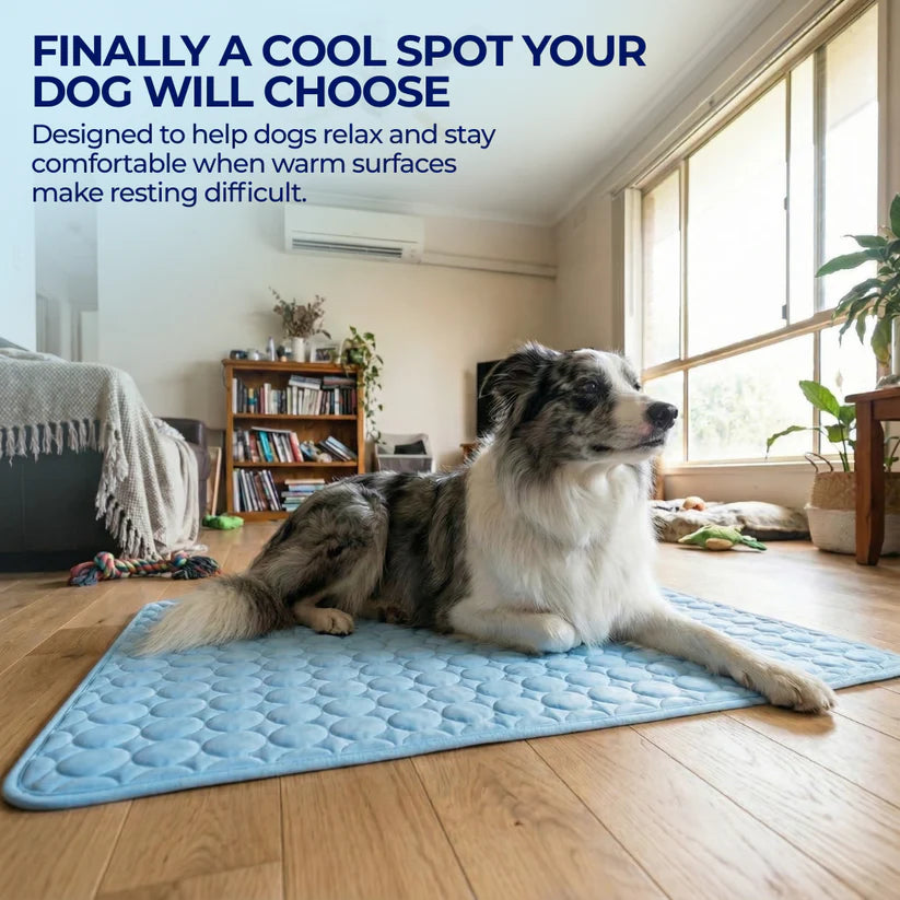 Arctic Dog Cooling Mat | Self-Cooling Pet Pad