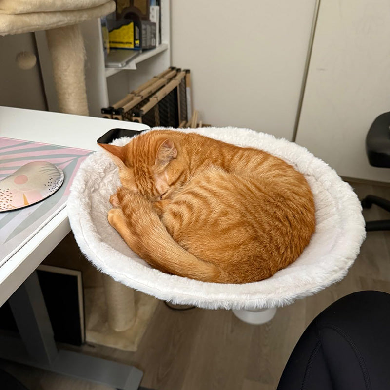 Keep Your Cat Close Desk-Mounted Hammock Cat Bed with Removable Washable Cover