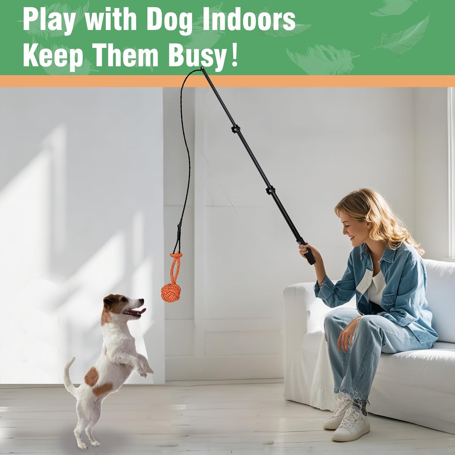 Interactive Flirt Pole Toy for Dogs