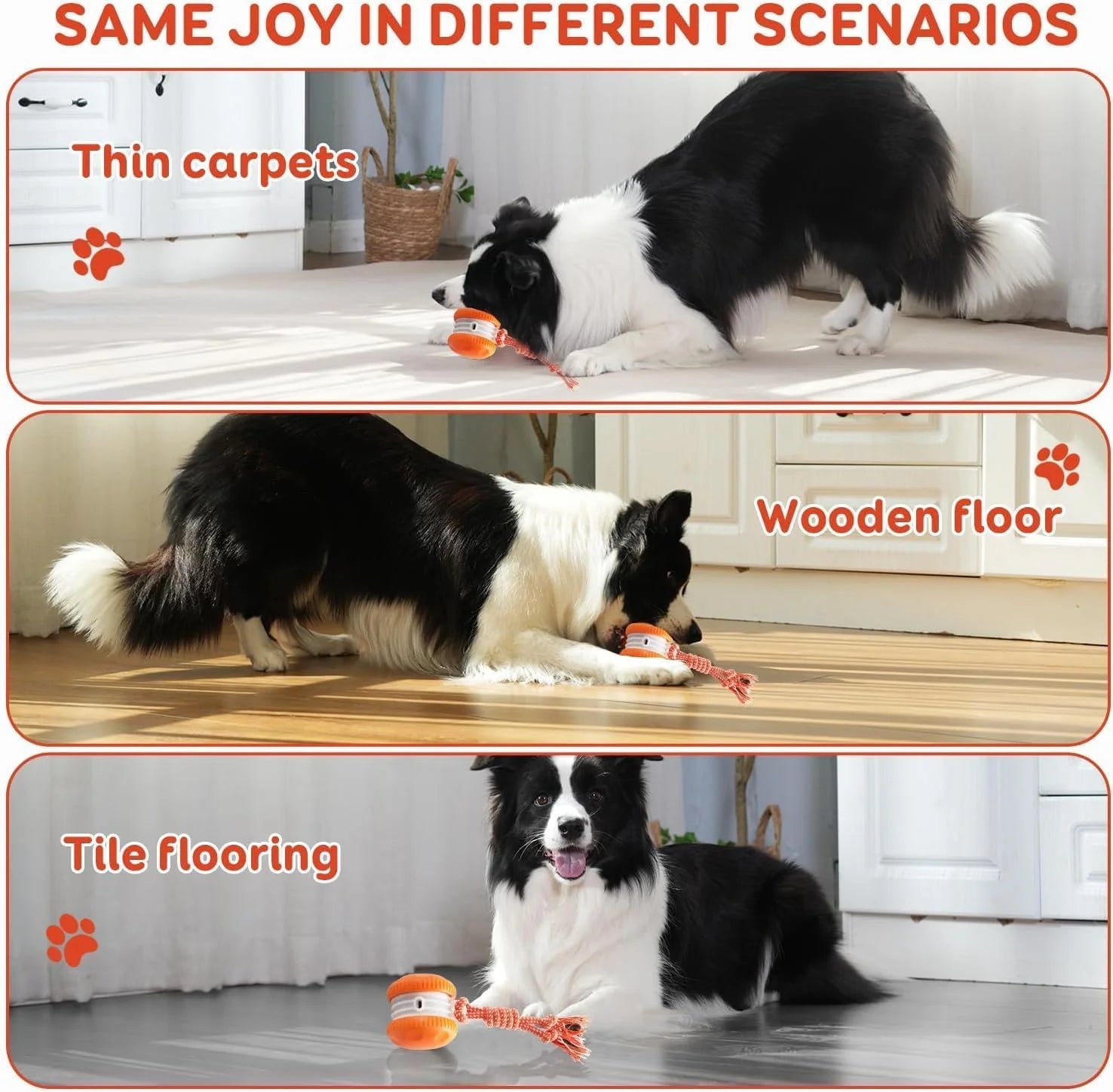 2 Pack Interactive Rolling Ball Dog Toy