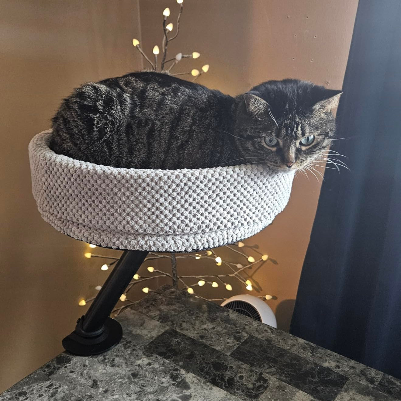 Cat Desk Bed | The Sustainable Desk-Mounted Cat Bed