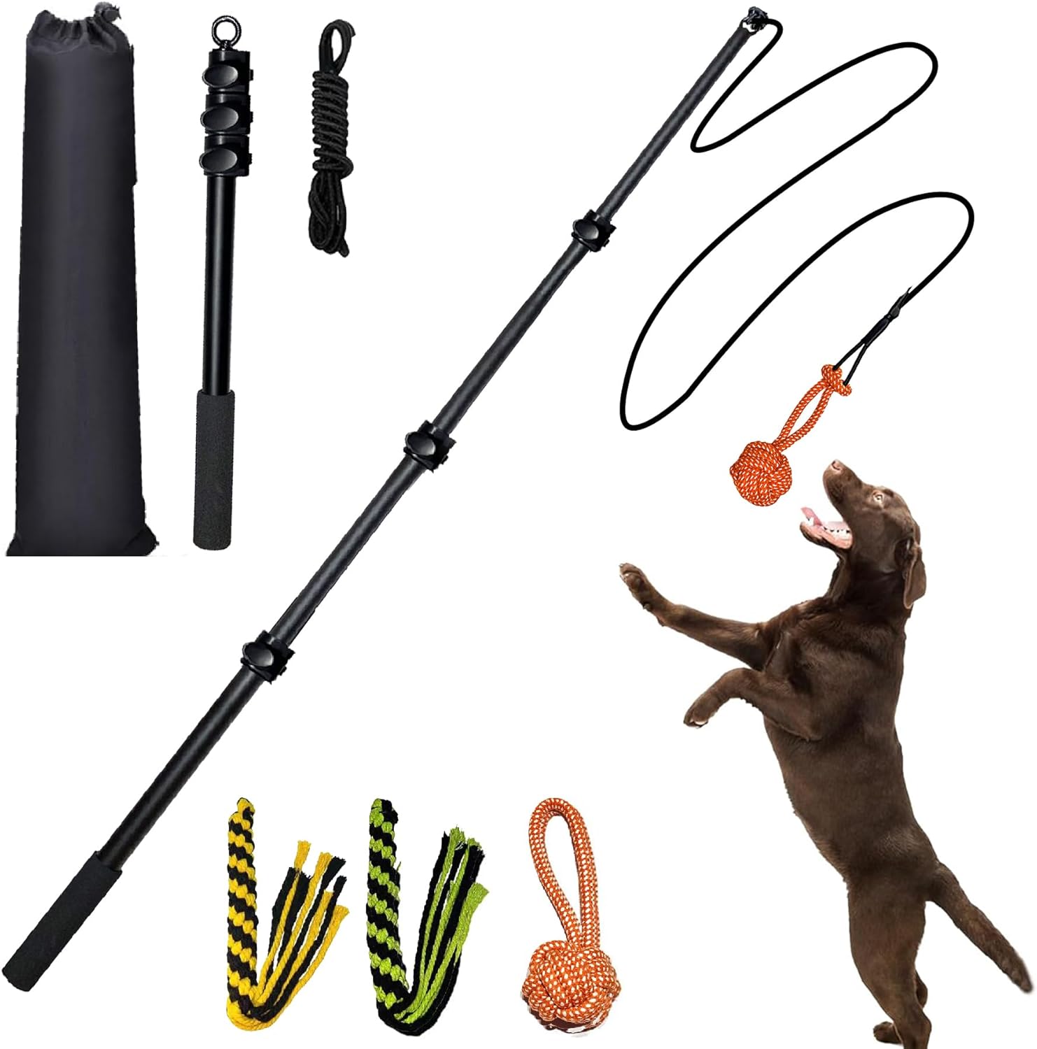 Interactive Flirt Pole Toy for Dogs