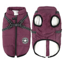 Winter Jacket For Dogs