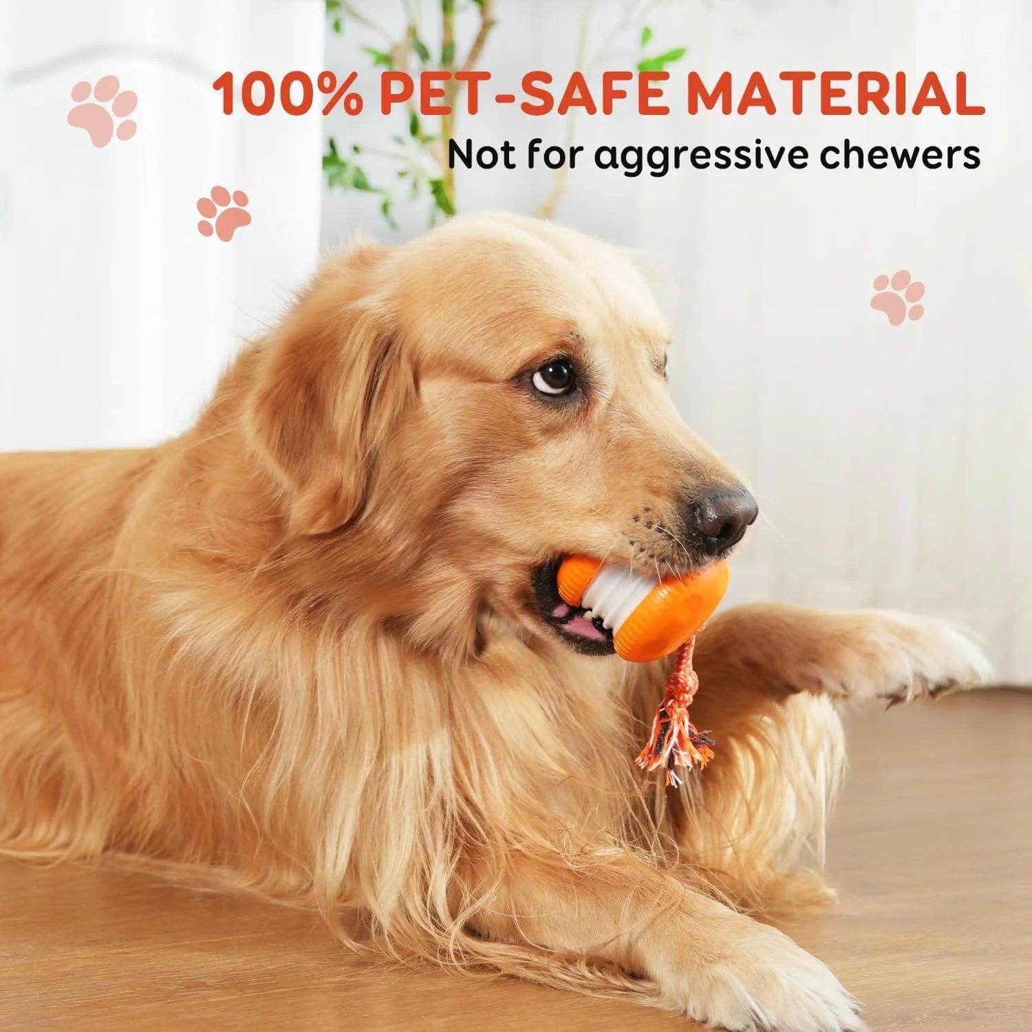 2 Pack Interactive Rolling Ball Dog Toy