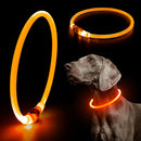 Light Up Dog Collars
