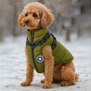 Winter Jacket For Dogs