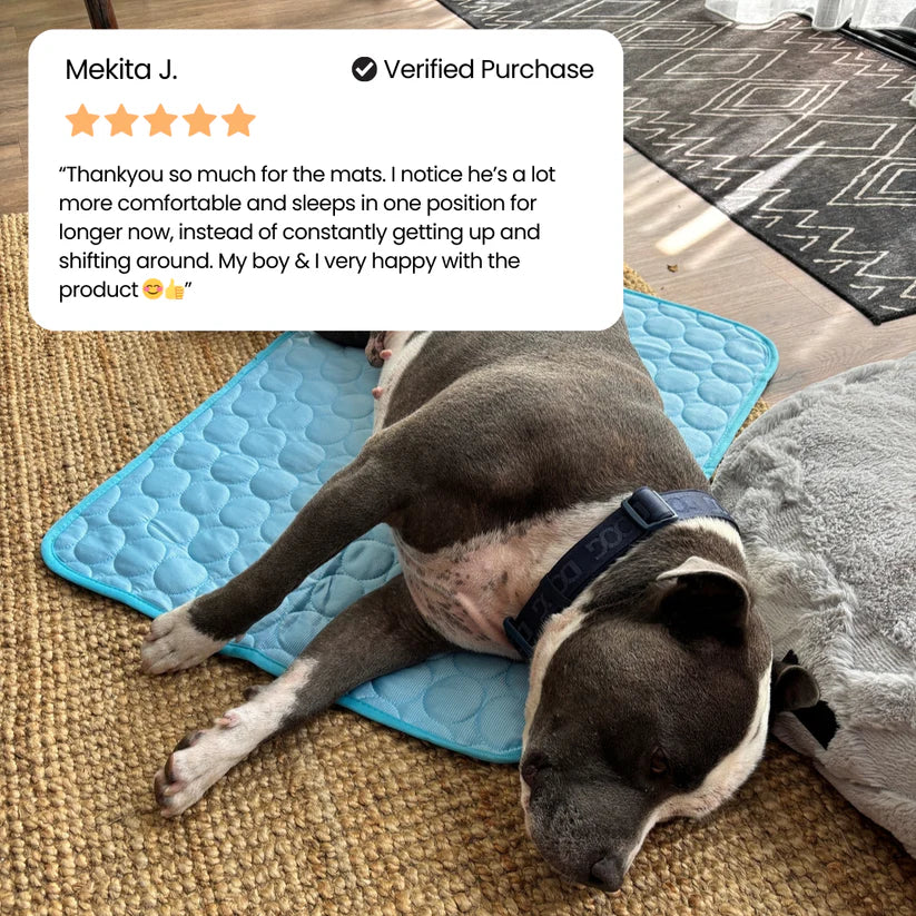 Arctic Dog Cooling Mat | Self-Cooling Pet Pad