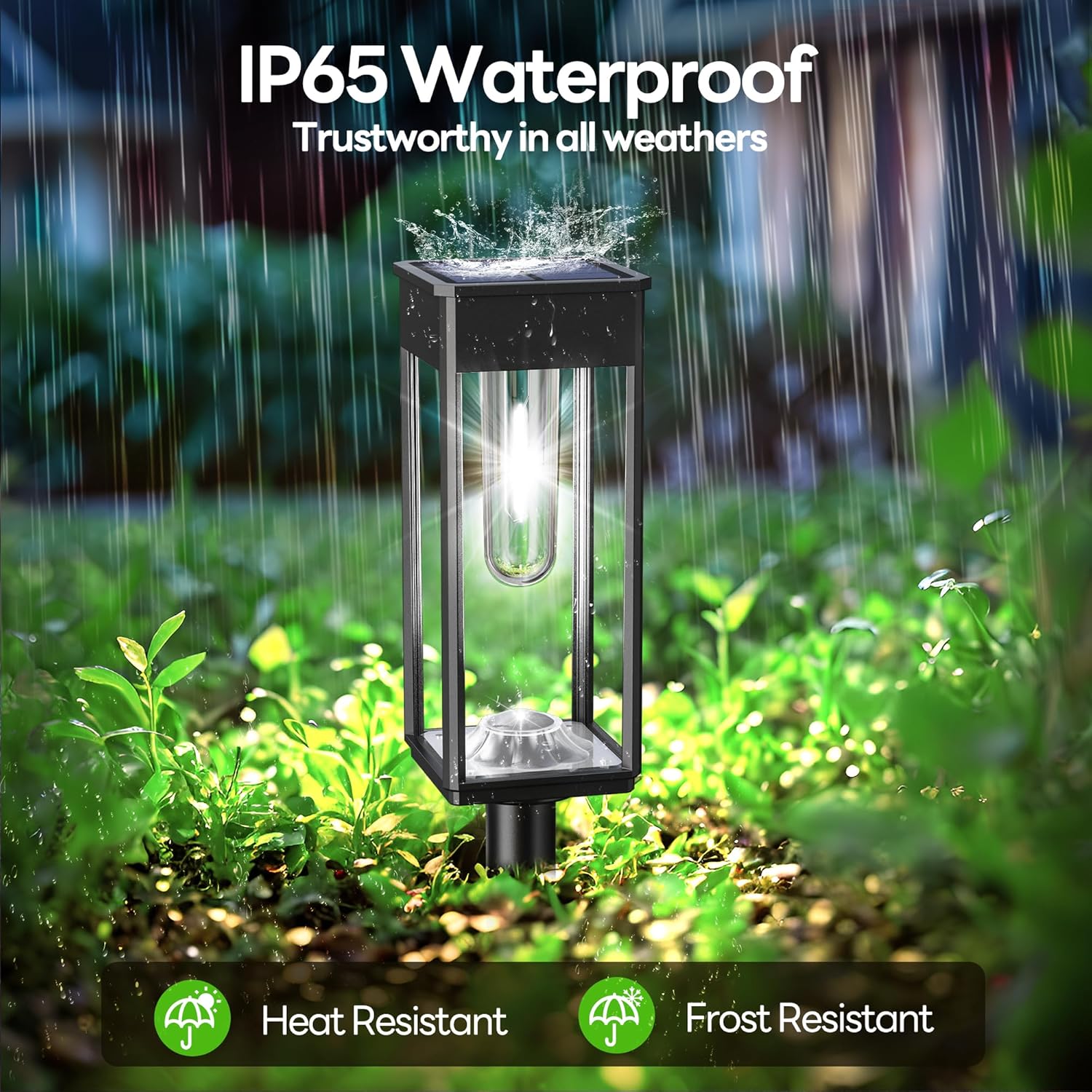 Garden Pathway Lights: Solar Path Lights for Walkways and Gardens
