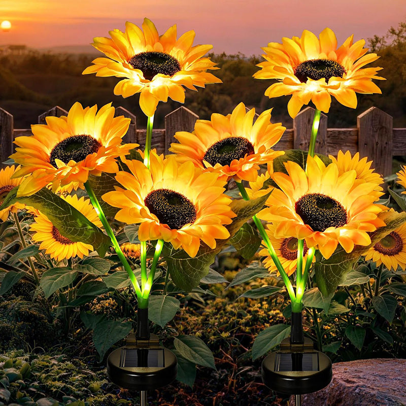The Solar Sunflowers
