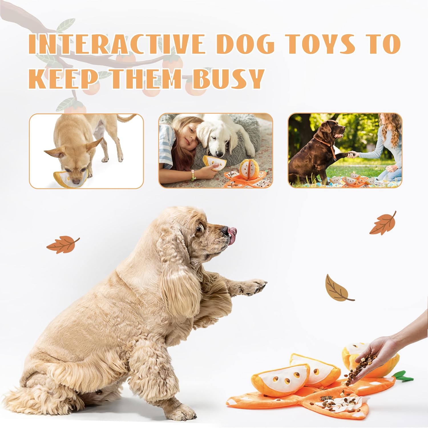 Orange Hide-and-Seek Plush Dog Toy