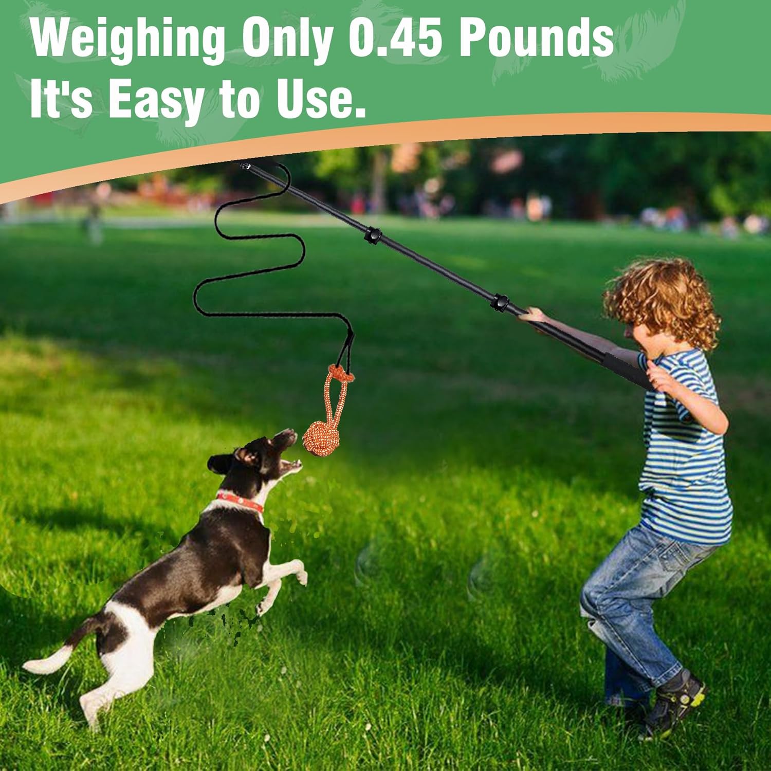 Interactive Flirt Pole Toy for Dogs