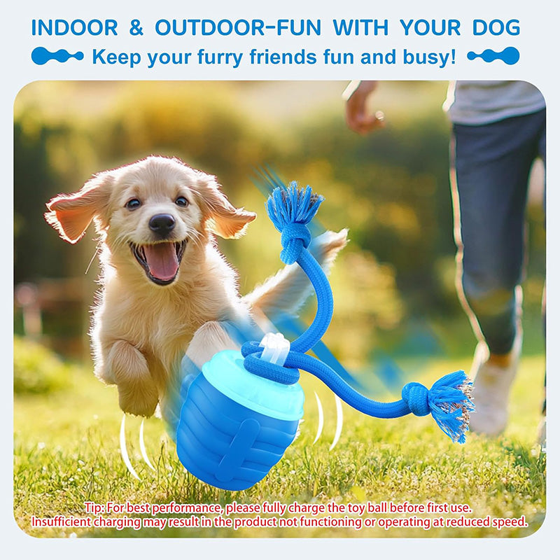 Smart Motion Pet Ball V3 - Fur Buddy Friends