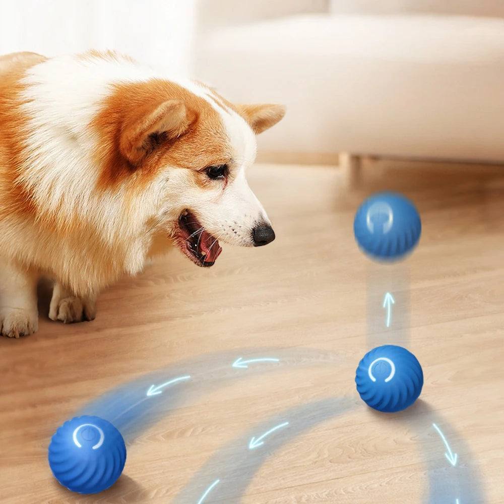 Smart Interactive Dog Toy 🐶