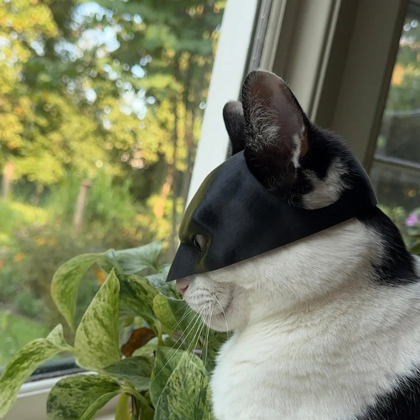 Bat Cat Avenger Mask for Pets