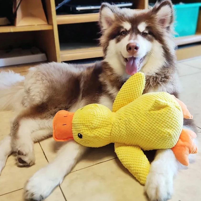The Mellow Dog - Calming Duck Dog Toys