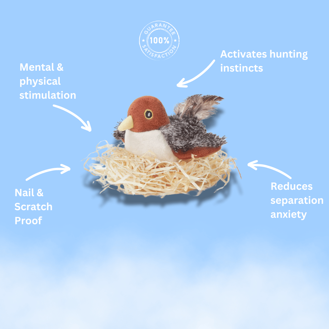 Interactive Flapping Bird Cat Toys with Remote-Controlled