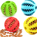 Doggie Treat Chew Ball
