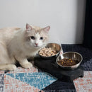 Anti-Vomiting Stainless Steel Cat Bowl