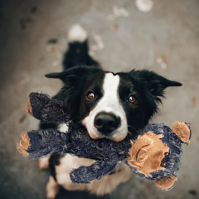Indestructible & Interactive Bear Dog Toy For Aggressive Chewers