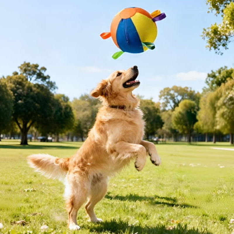 Calming Jumbo Ball for Dogs