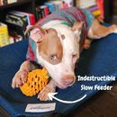 Pineapple Treat Dispensing Dog Toy for Aggressive Chewer