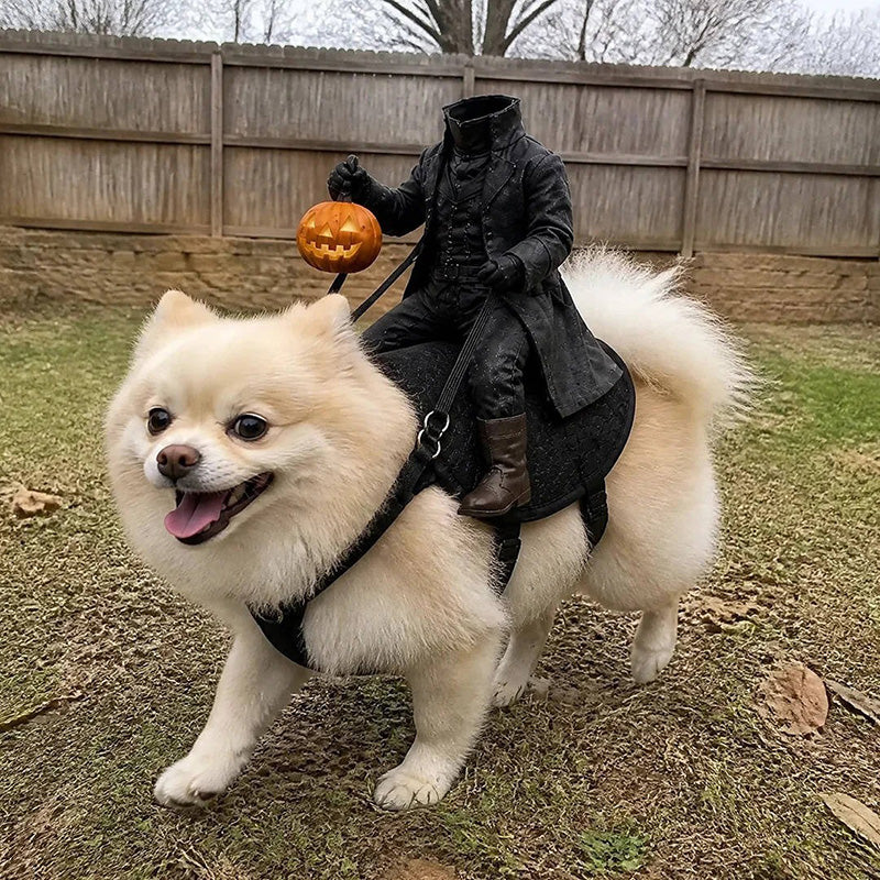 The Headless Rider Pet Halloween Costume