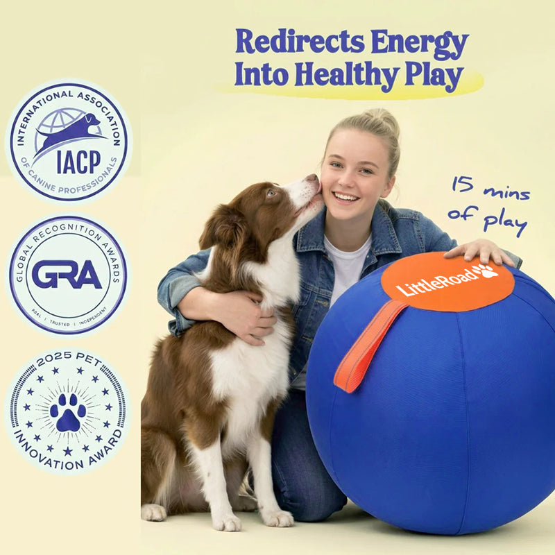The Original Herding Ball for Dogs
