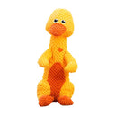 Robust Plush - Immortal Squeaker Plush Toy For Aggressive Chewers