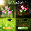 Solar Lily Garden Stake Lights