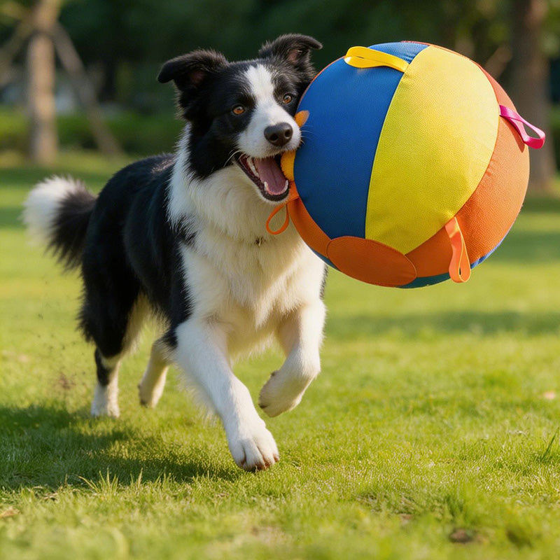 Calming Jumbo Ball Toy for Dogs
