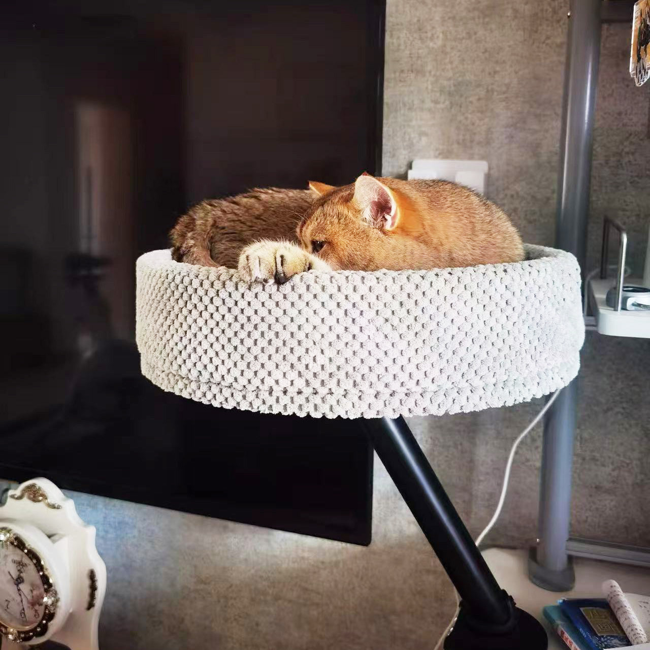 Cat Desk Bed | The Sustainable Desk-Mounted Cat Bed