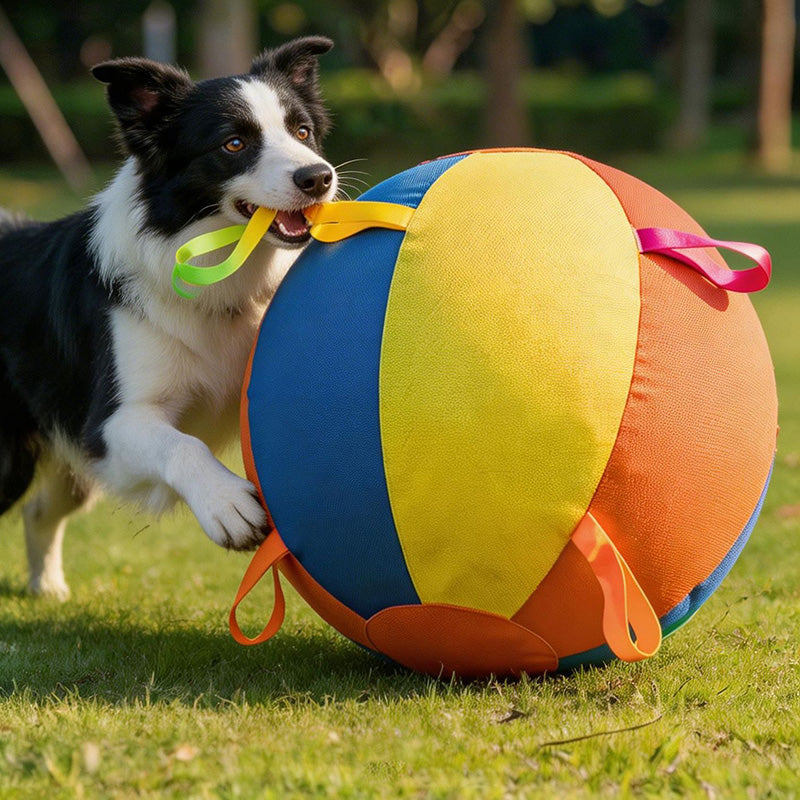 Calming Jumbo Ball Toy for Dogs