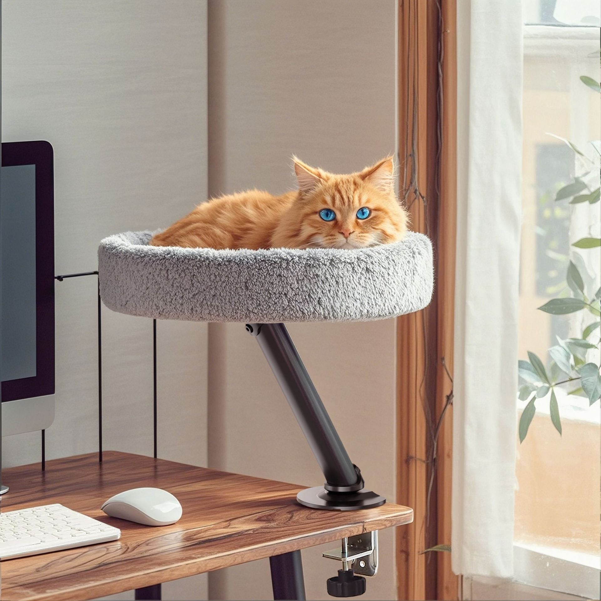 Cat Desk Bed | The Sustainable Desk-Mounted Cat Bed