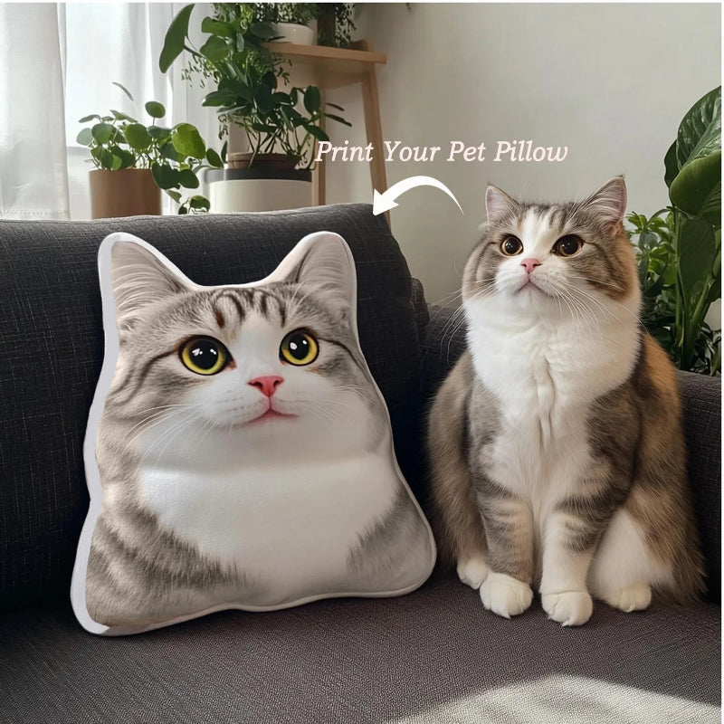 Cat sitting next to a pillow with a cat's face printed on it, in a home setting with plants.