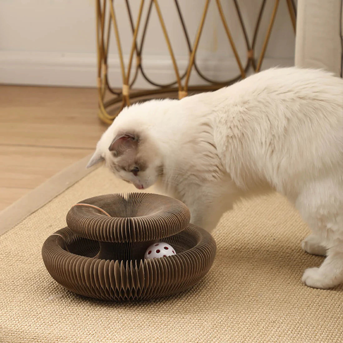 Kitty Kurlz Accordion Magic Organ Cat Scratcher Toys