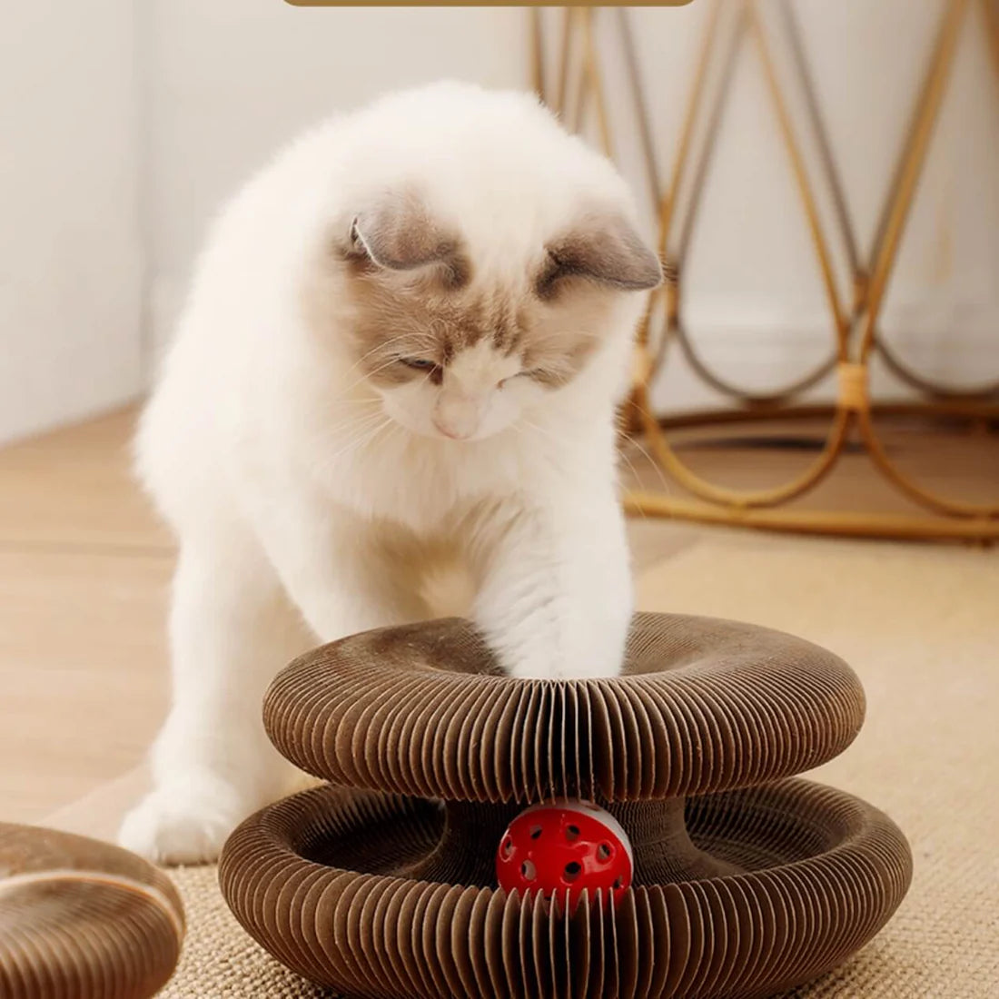 Kitty Kurlz Accordion Magic Organ Cat Scratcher Toys
