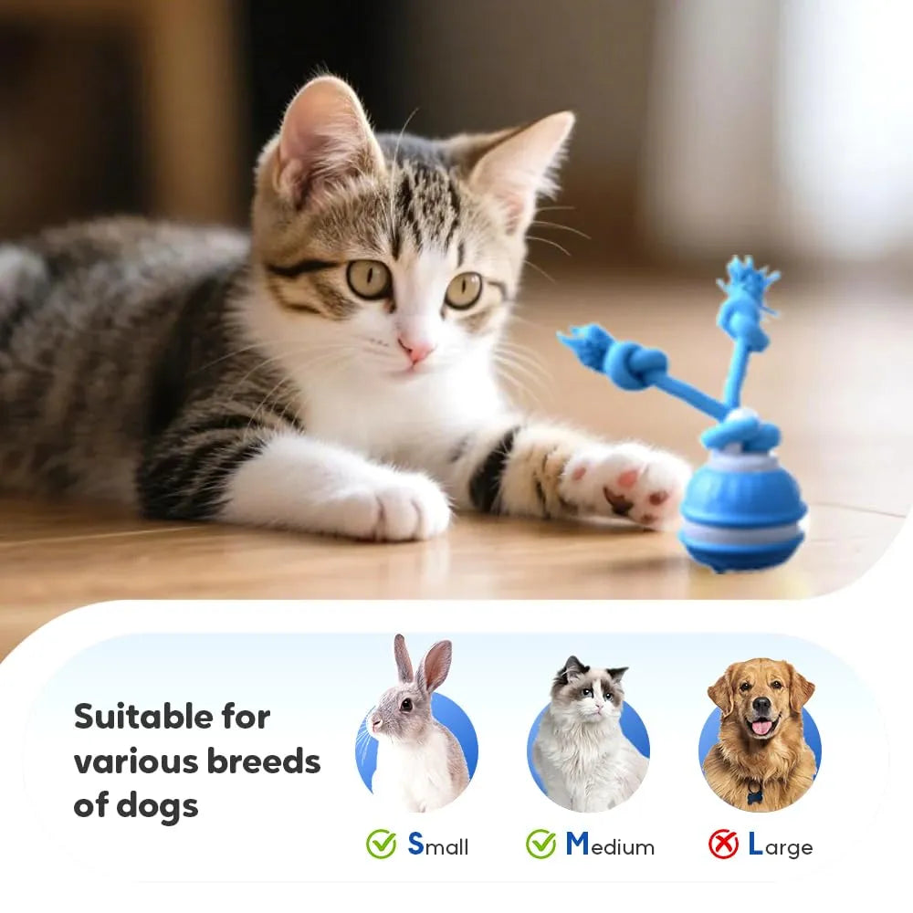 Interactive Smart Rolling Pet Ball