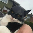 Bat Cat Avenger Mask for Pets
