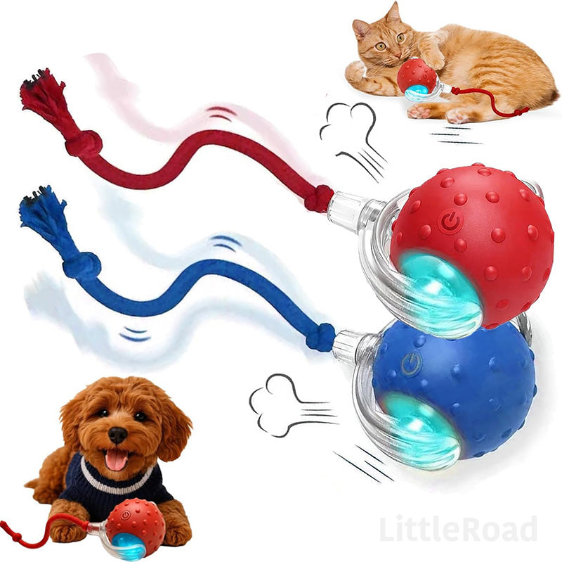 Tiny Fetch Motion Pet Toy