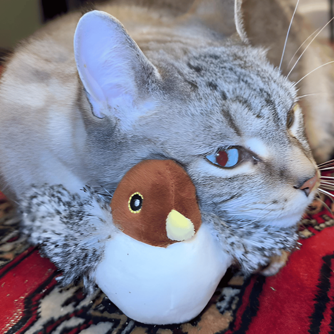 Interactive Flapping Bird Cat Toys with Remote-Controlled