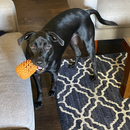Pineapple Treat Dispensing Dog Toy for Aggressive Chewer