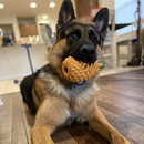 Pineapple Treat Dispensing Dog Toy for Aggressive Chewer